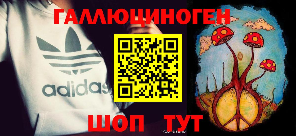 Псилоцибиновые грибы Psilocybine cubensis  Вход с VPN  где найти   Ковров 