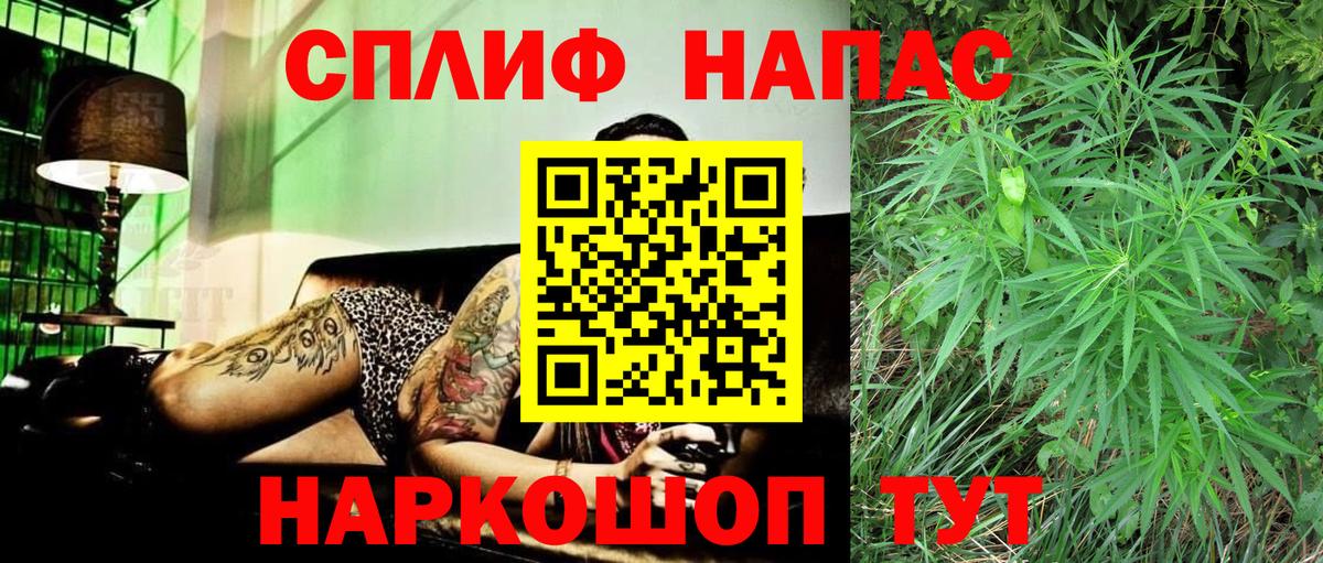 Канабис сатива Ковров